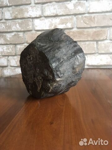 Окаменелое дерево