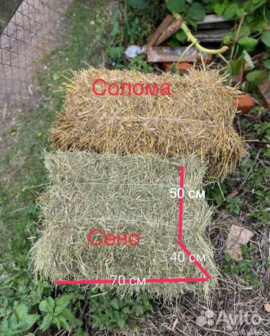 Сено солома доставка по штучно, в тюках и мешках