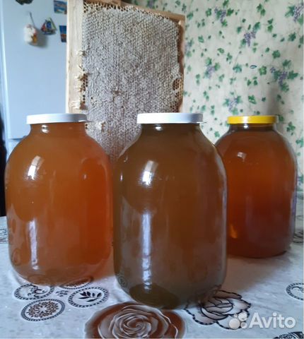 Свежий мед 2024 год