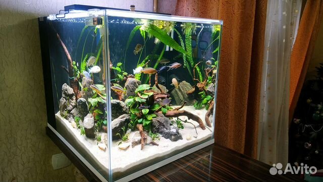 Аквариум на заказ. Под ключ