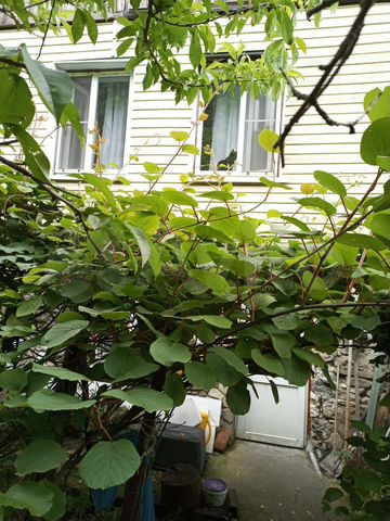 Дом 68,4 м² на участке 3 сот.