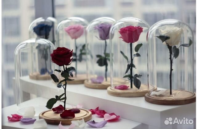 Завод. Вечная Роза в колбе. Много моделей