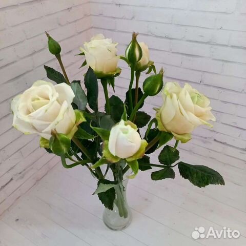 Роза белая роза букет роз букет белых роз цветы из