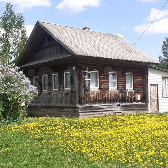 Деревня Пятунино Костромская область. Кривячка Шарьинский район деревня. Дачи в Шарье. Пятунино Шарьинский район Костромской области. Шарья недвижимость купить