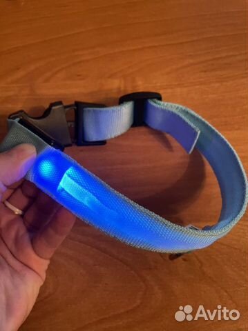 Электронный ошейник