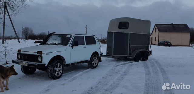 Перевозка лошадей крс