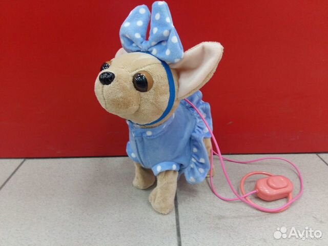 Собачка чичилав без сумки