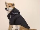 Куртка зимняя для собак