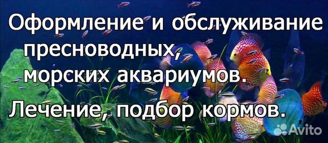 Обслуживание аквариумов