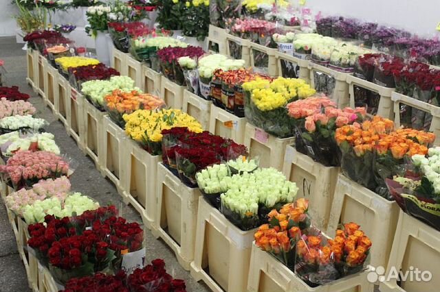 Цветы екатеринбург купить оптом доставка цветов из красногорска в москву