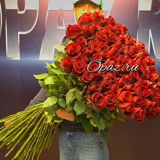 Метровые розы Розы 1,5 метра Розы высокие 150 см