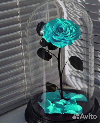 Роза В колбе премиум