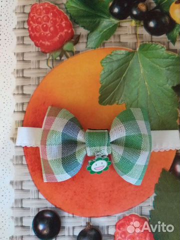 Бабочка-галстук 