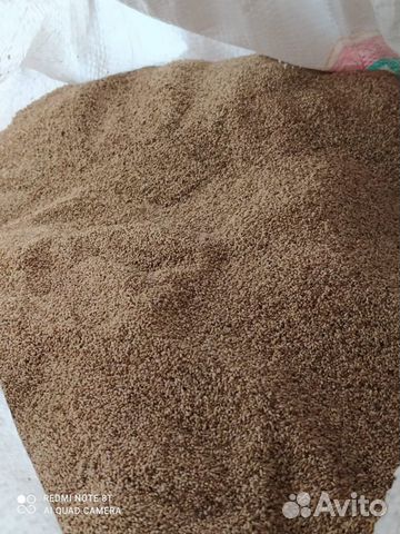 Семена тимофеевки для газона