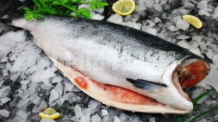 Кета кижуч потрошеная без головы горбуша