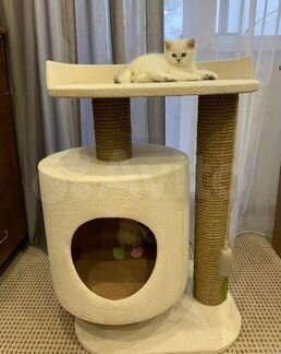 Комплексы с когтеточкой и домиком