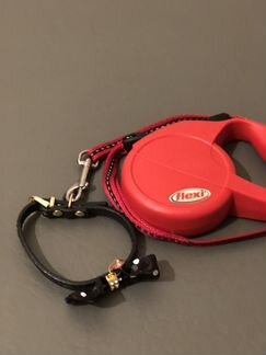 Поводок для йорка)