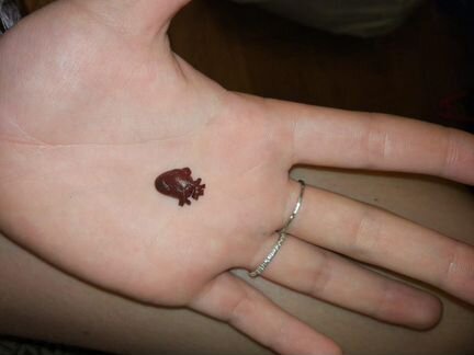 Украшения из полимерной глины