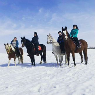 Конные прогулки