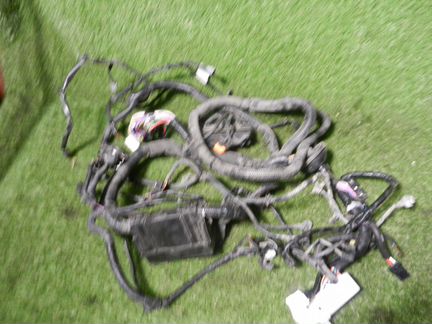 Проводка подкапотная Nissan Juke F15 HR16