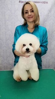 Стрижка собак и кошек