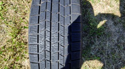 Graspic dunlop