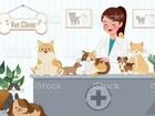 Ветеринарный кабинет 