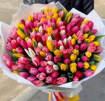 Тюльпаны Оптом 19 25 49 101 Цветы Букеты