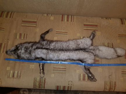 Шкура песца, шкурка песца