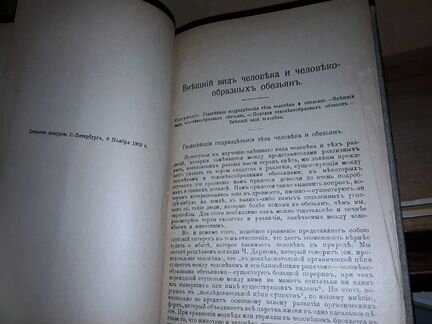 Ранке. Физические различия человеческих рас. 1903г