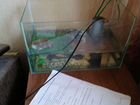 Черепаха с аквариумом фильтром и лампой