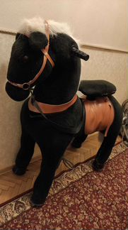 Поницикл большой