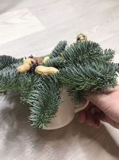 Подарок на новый год