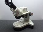 Wolfe Digital Microscope #1185