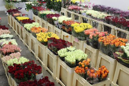 Цветы оптом в Екатеринбурге