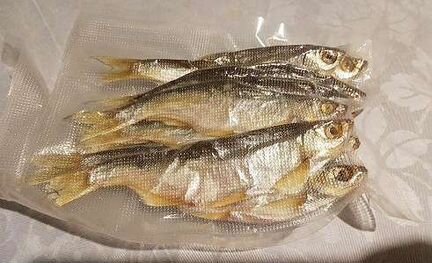 Вакуумный упаковщик. Вакууматор. Новый