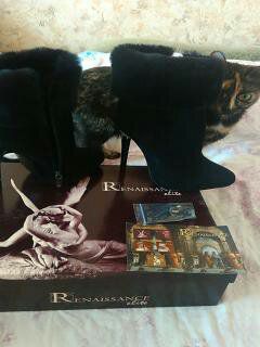 Сапожки зима новые Renessance Elite р37