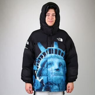 Куртка The North Face статуя чёрная