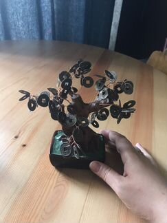 Денежное дерево
